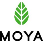 Moya Markets