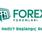 Forex Nedir? Başlangıç Rehberi